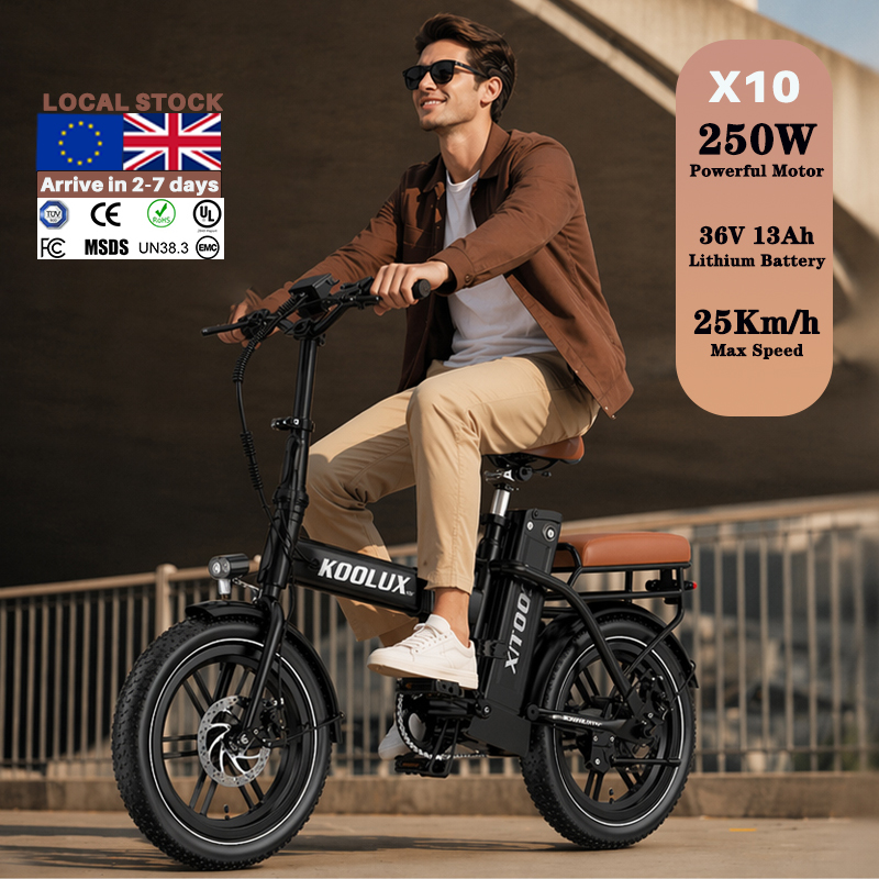 Europa Polen X10 Elektrische V - Mountain Biking Europe recensie en prijs